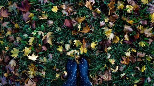 Ősszel nem kell feltétlenül - Kövesd az őszi divatot! Lépj harmóniába a természettel!- komoran öltözködnünk.
